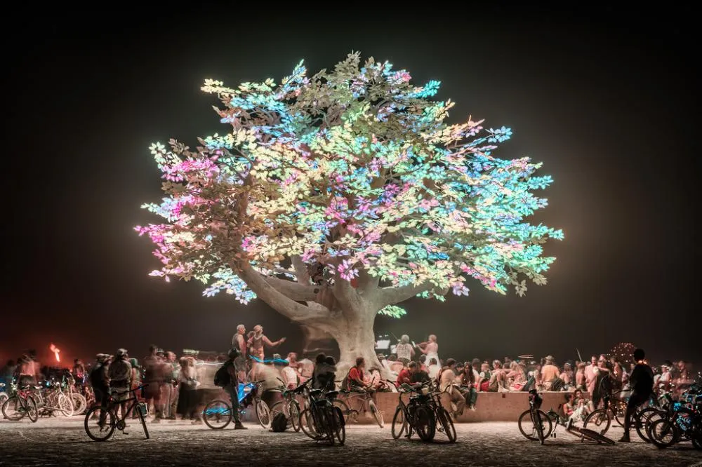 The Tree of Tenere