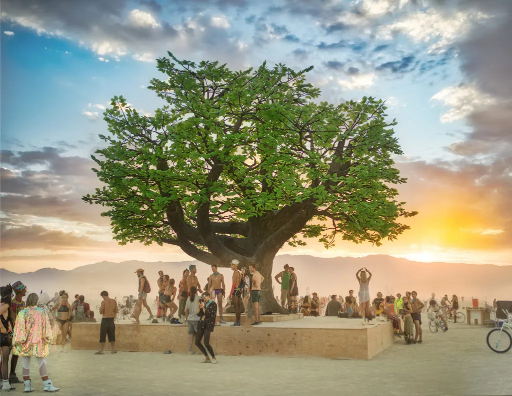 The Tree of Tenere
